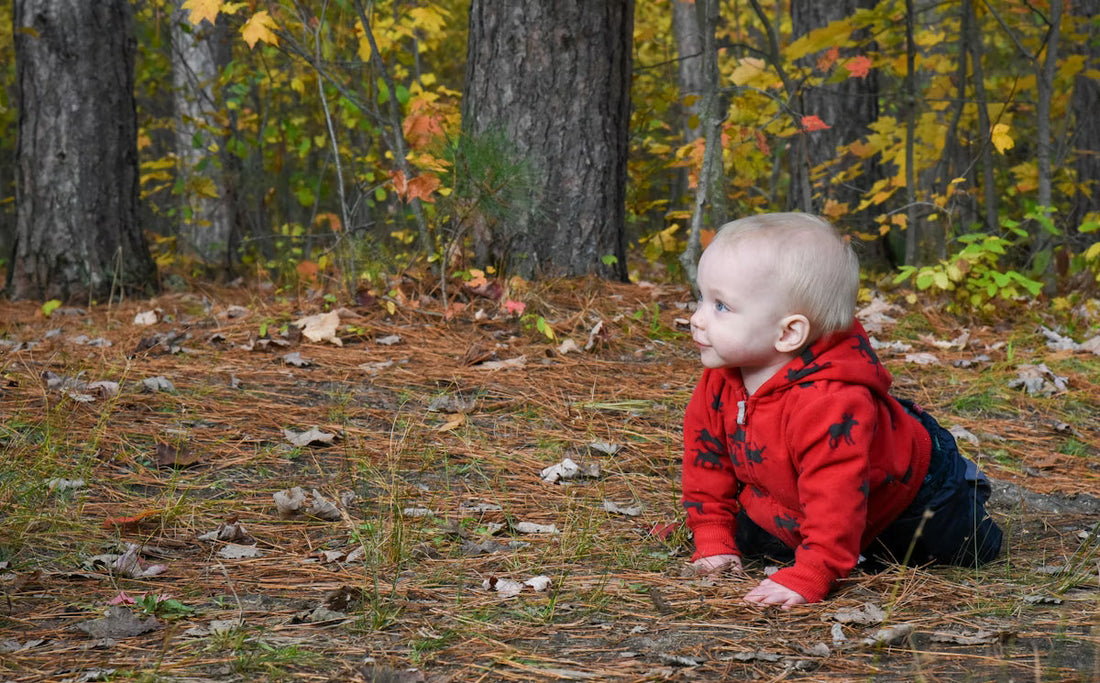Fresh Air, Big Benefits: Why Daily Pram Walks Are Nature's Best Gift for Your Baby